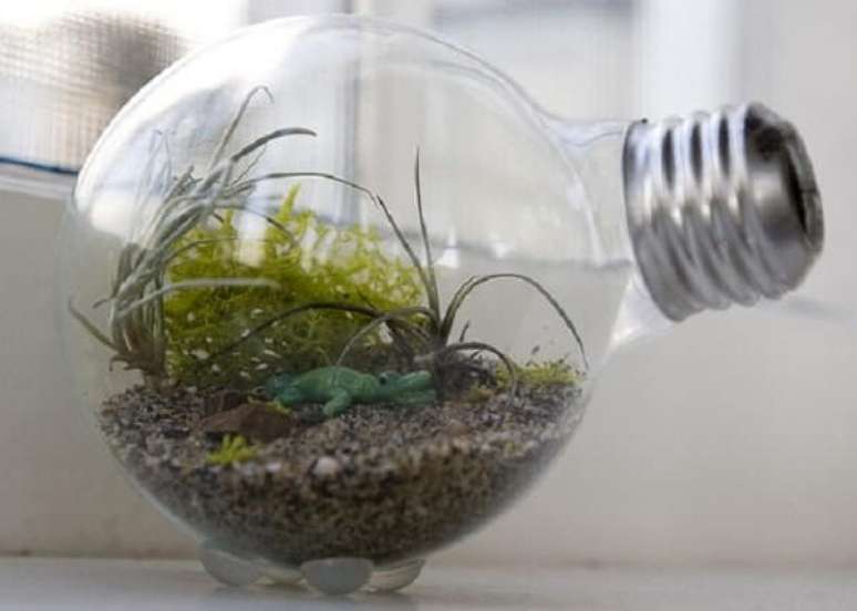 61. A estrutura de uma lâmpada pode ser usada no cultivo do terrário de suculentas. Fonte: Pinterest