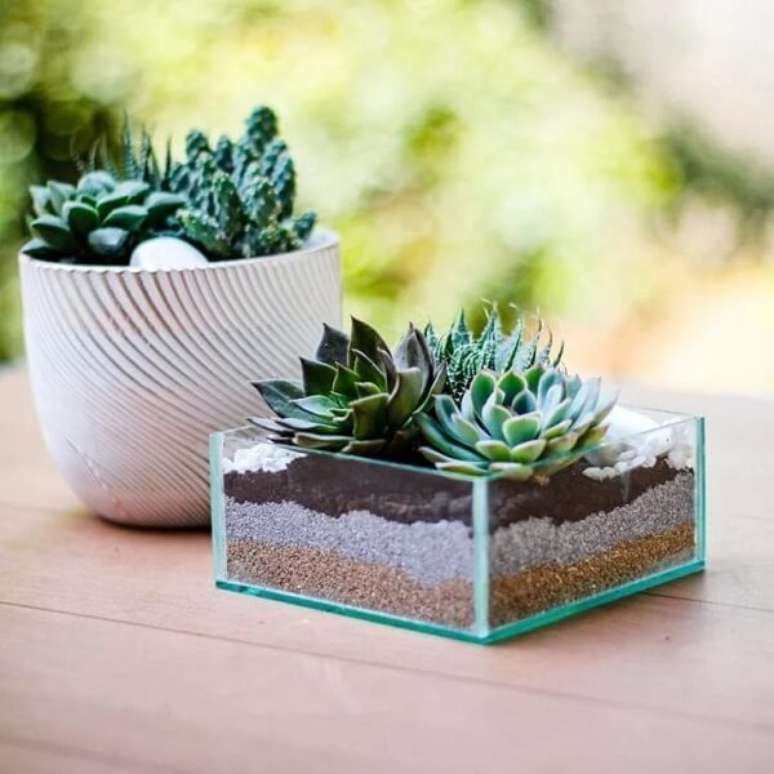 25. A transparência do vidro permite a visão completa do terrário de suculentas. Fonte: Pinterest