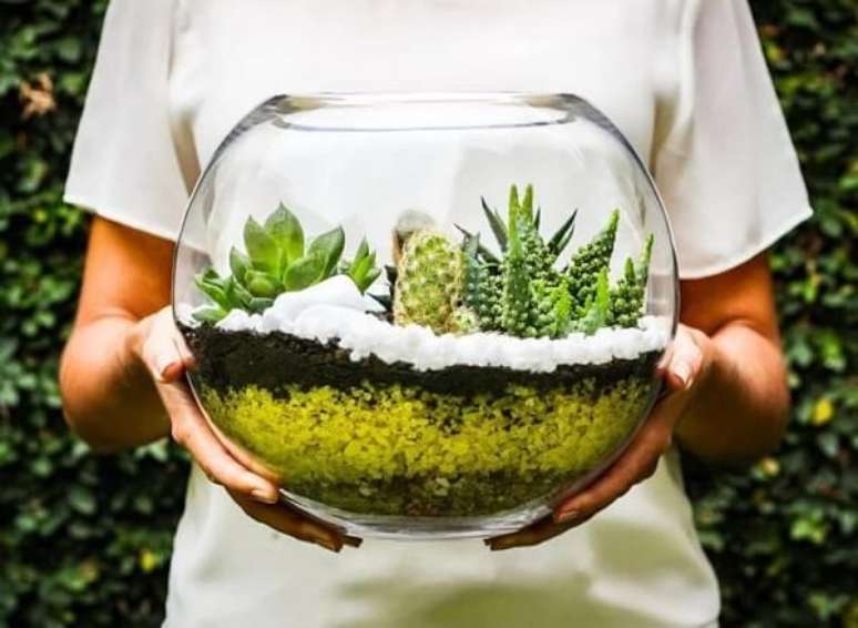 21. Cultive o terrário de suculentas em um cachepot de vidro. Fonte: Pinterest