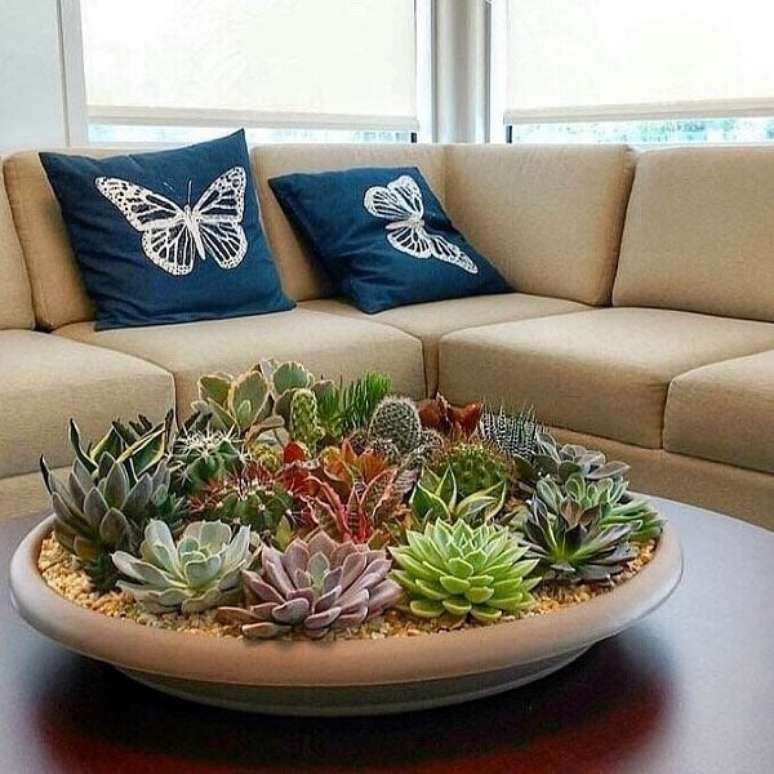 20. O terrário de suculentas decora a mesa de centro da sala de estar. Fonte: Pinterest