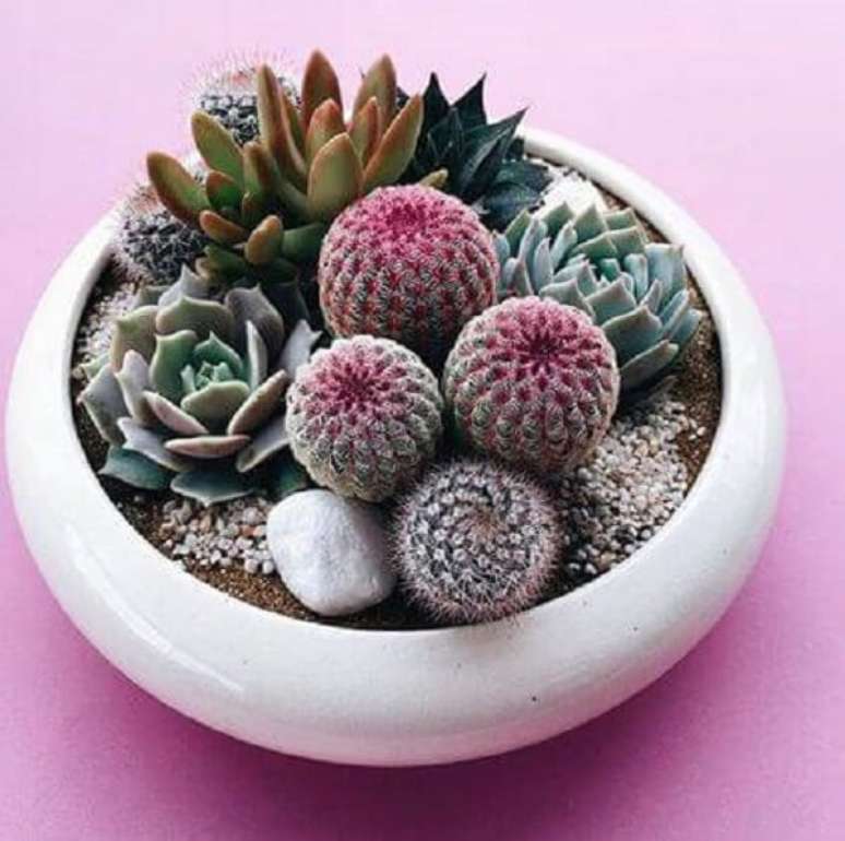42. O vaso de cerâmica é uma opção para terrário de suculentas. Fonte: Pinterest