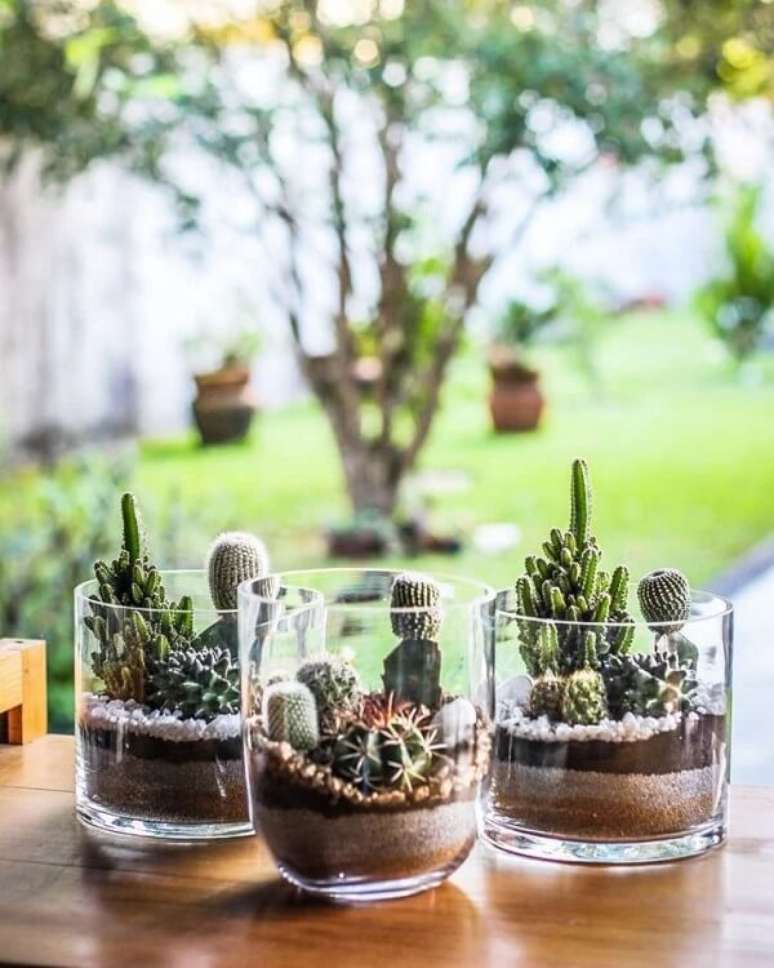 23. Os recipientes de vidro são ótimos para montar o mini terrário de suculentas. Fonte: Pinterest