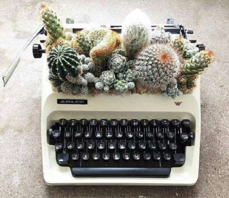 9. Que tal montar um lindo terrário de suculentas e cactos em antiga máquina de escrever? Fonte: Pinterest