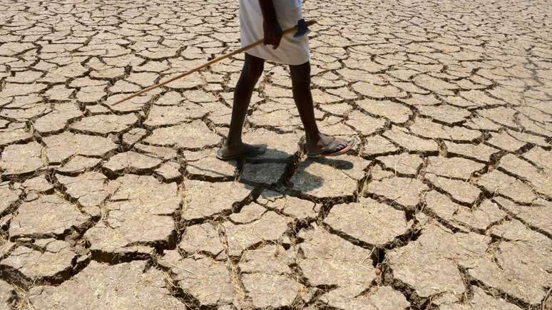 Mudança climática não é vista como ameaça iminiente, diz Diamond