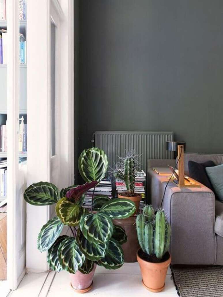 23- A mesa lateral &eacute; decorada com as plantas para sala s&atilde;o a Maranta e o Cactos. Fonte: Follow The Colours