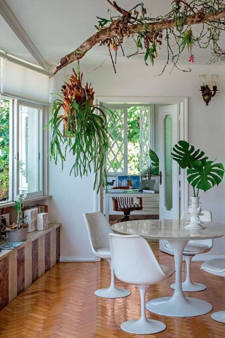 60- Na decora&ccedil;&atilde;o moderna, as plantas para sala ocupam lugar de destaque. Fonte: Pinterest