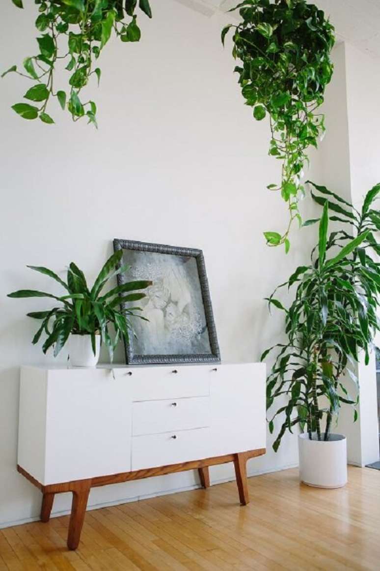 56- As plantas para sala com folhagens escuras contrastam com as cores claras do ambiente. Fonte: Imagina&ccedil;&atilde;o f&eacute;rtil