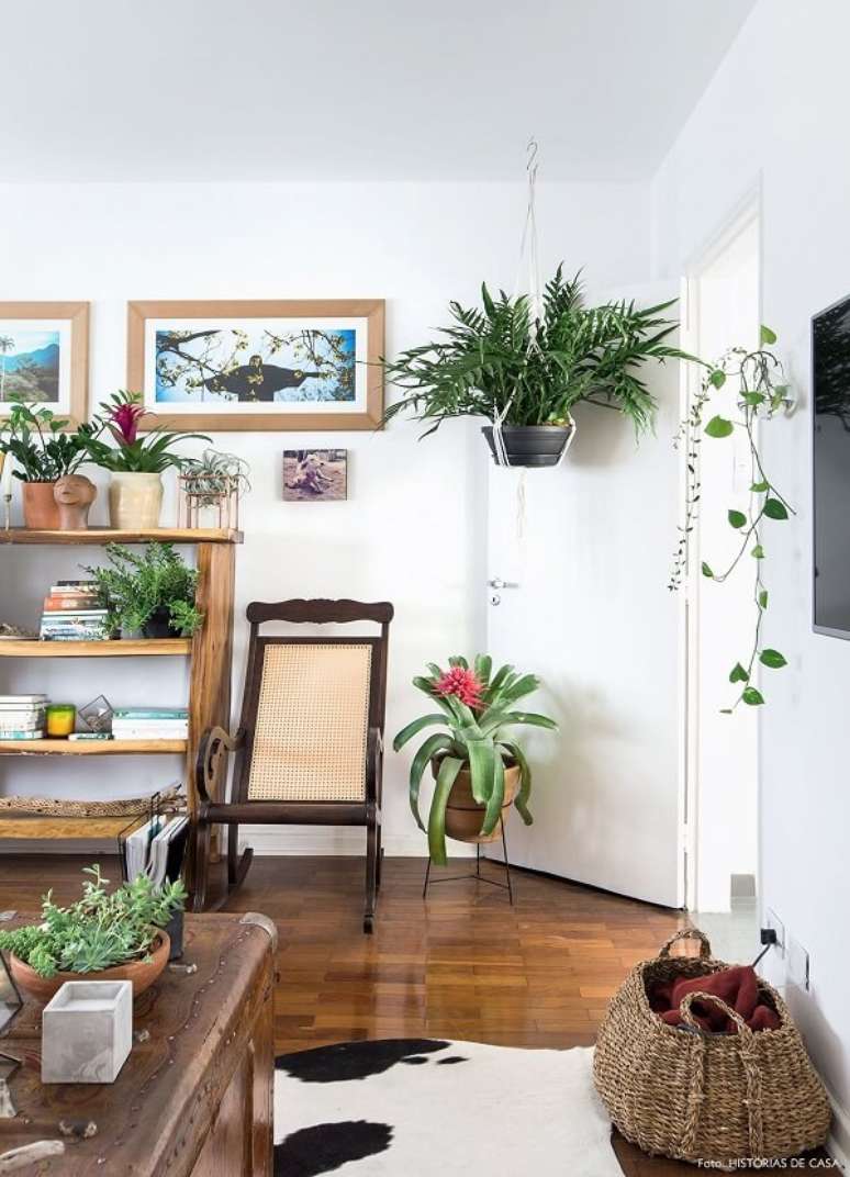 54- As plantas para sala levam frescor ao ambiente decorado. Fonte: Hist&oacute;rias de Casa