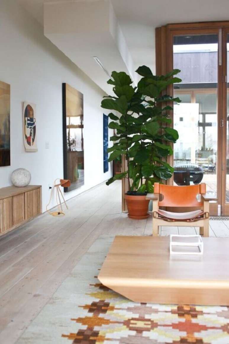 17- Os vasos com Fycus lirata s&atilde;o plantas para sala com grande apelo visual. Fonte: Decora&ccedil;&atilde;o Lolahome