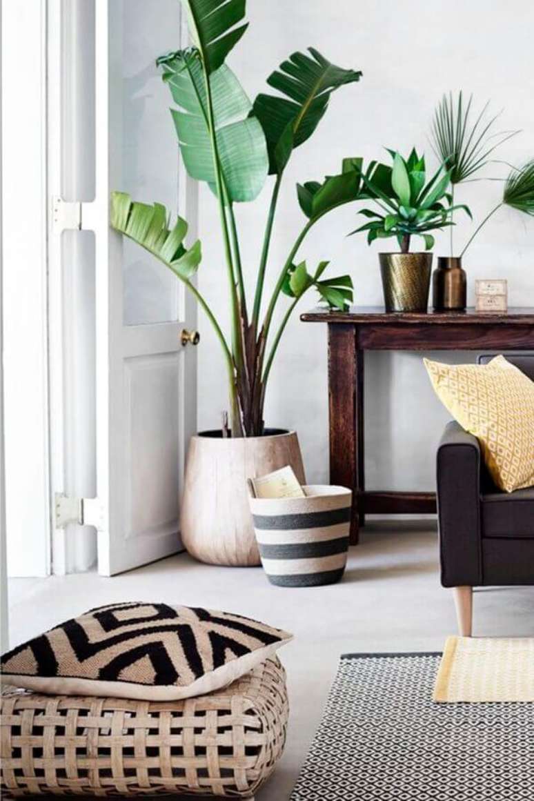 18- As plantas para sala devem ser colocadas em vasos que me&ccedil;am 1/3 da sua altura. Fonte: Abrir Janela