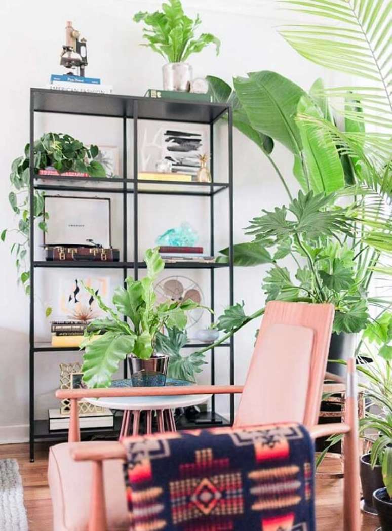 37- As plantas para sala foram organizadas pr&oacute;ximas &agrave; janela. Fonte: Minha Casa Minha Vida