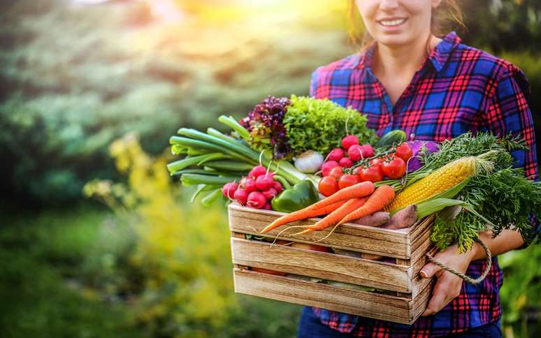 Alimentos que desincham