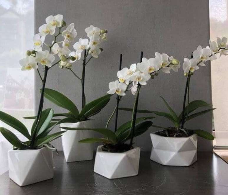 6. Mini orqu&iacute;dea branca para decora&ccedil;&atilde;o de casa &ndash; Via: Revista VD