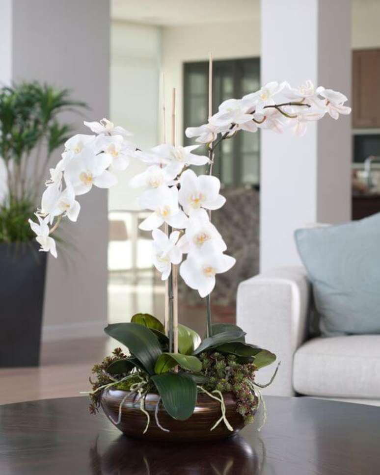 39. Orquídea bambu branca – Via: Petals