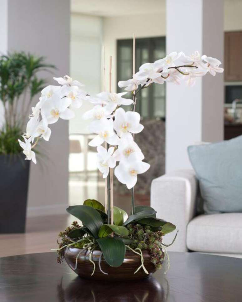 39. Orqu&iacute;dea bambu branca &ndash; Via: Petals