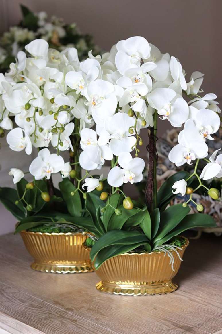 14. Orquídea branca com vaso dourado moderno – Via: Tendom