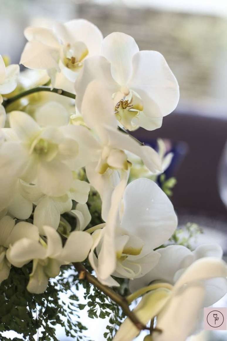 17. Flor orquídea branca sofisticada – Via: Vamos receber