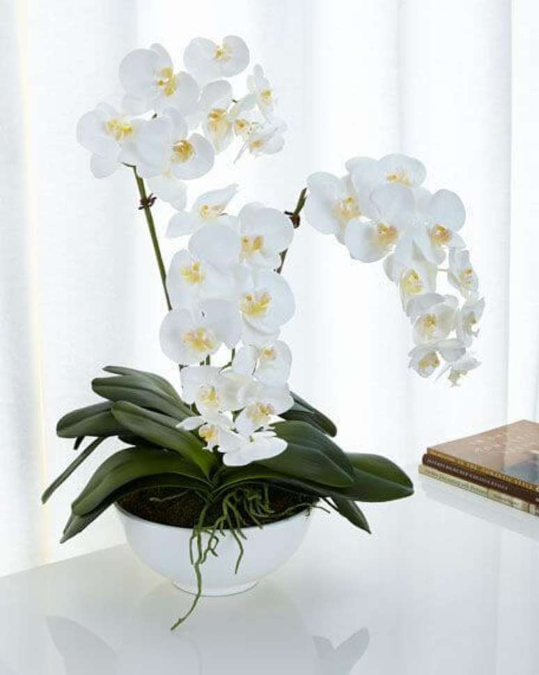 20. Orquídea branca para decorar vasa moderna – Via: Pinterest