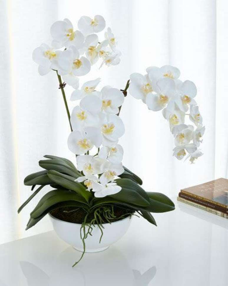 20. Orqu&iacute;dea branca para decorar vasa moderna &ndash; Via: Pinterest