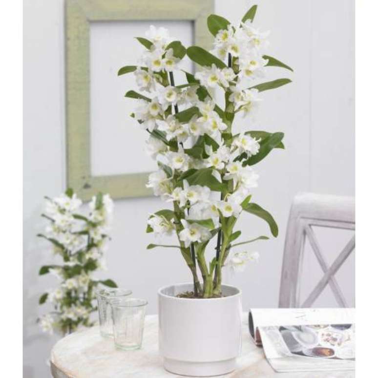 3. Vaso com orquídea branca bambu – Via: Pinterest