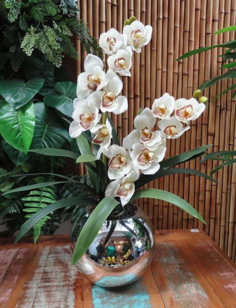 Orquídea Branca: Como Cuidar, Significado e +58 Arranjos Lindos