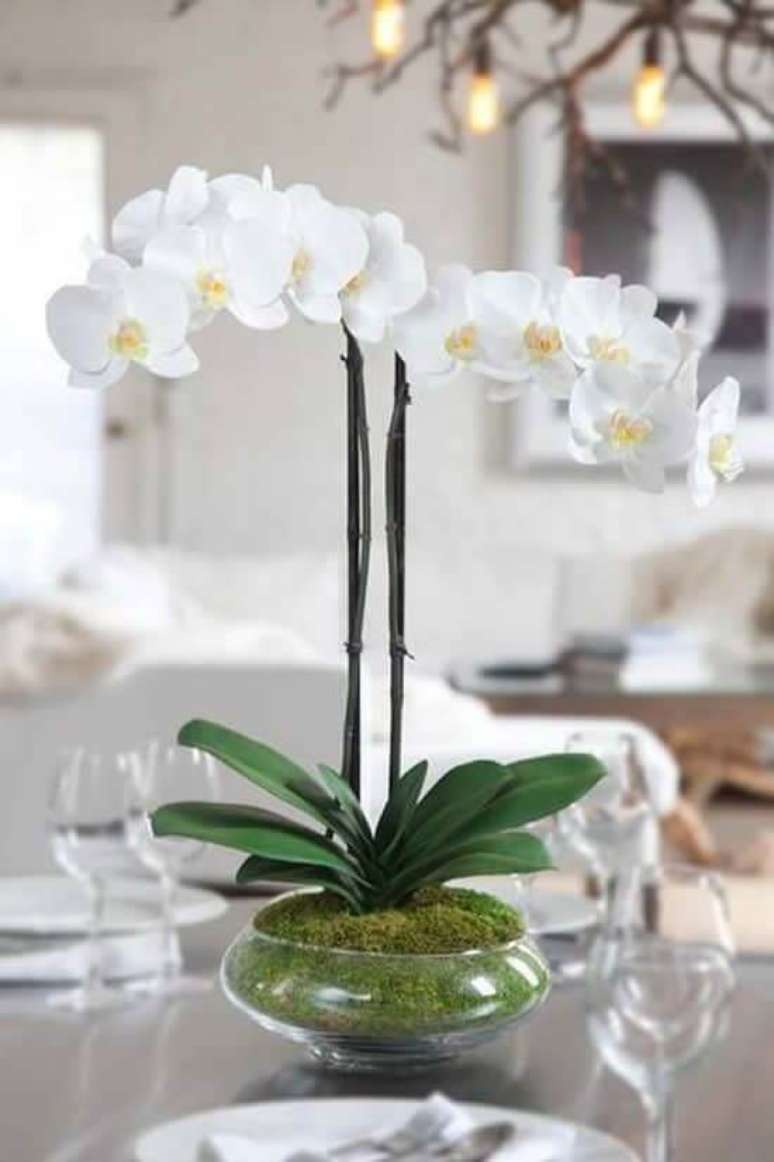 26. Sala de estar decorada com vaso de orquídea branca – Via: Como Fazer em Casa