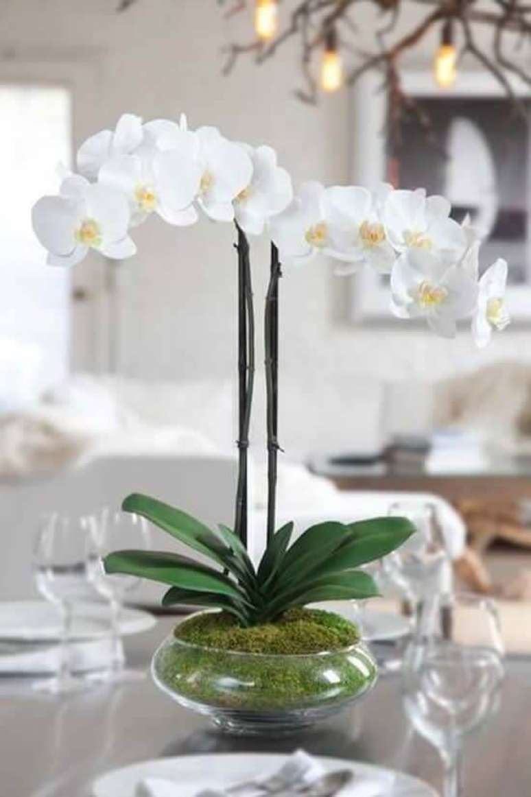 26. Sala de estar decorada com vaso de orqu&iacute;dea branca &ndash; Via: Como Fazer em Casa