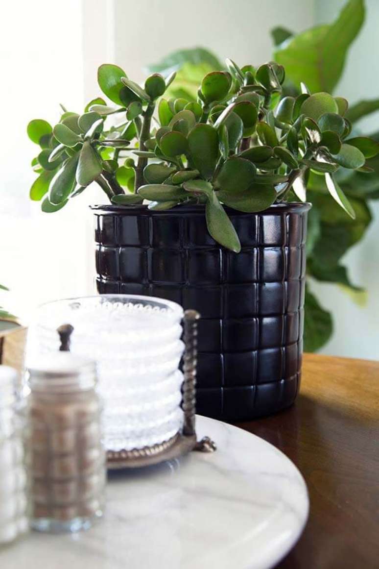 26. Decoração com planta jade – Via: Frateli Planejados