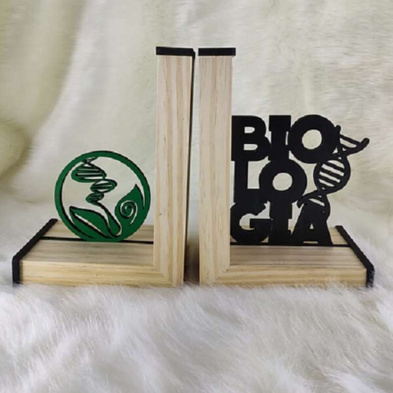 21. Modelo de aparador de livros para estante de profissionais da &aacute;rea de Biologia. Fonte: Pinterest