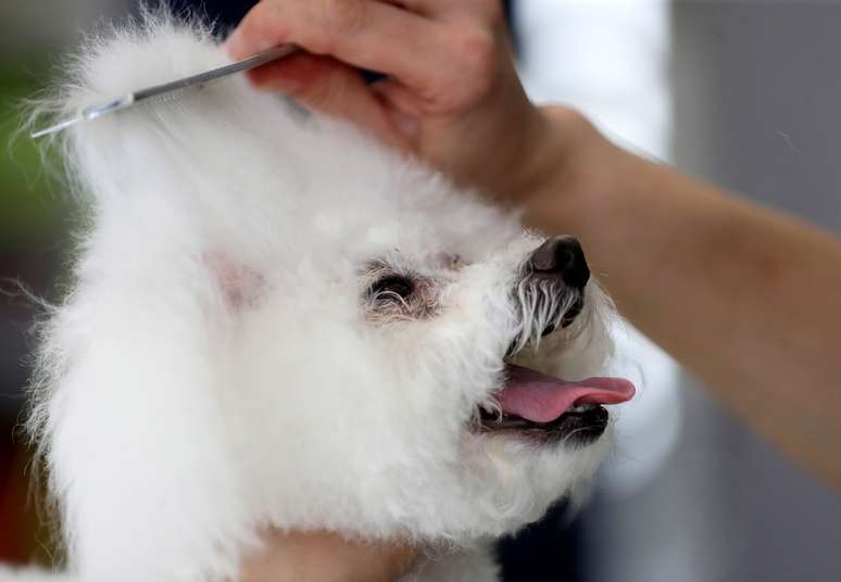 20/04/2020. REUTERS/David W Cerny 