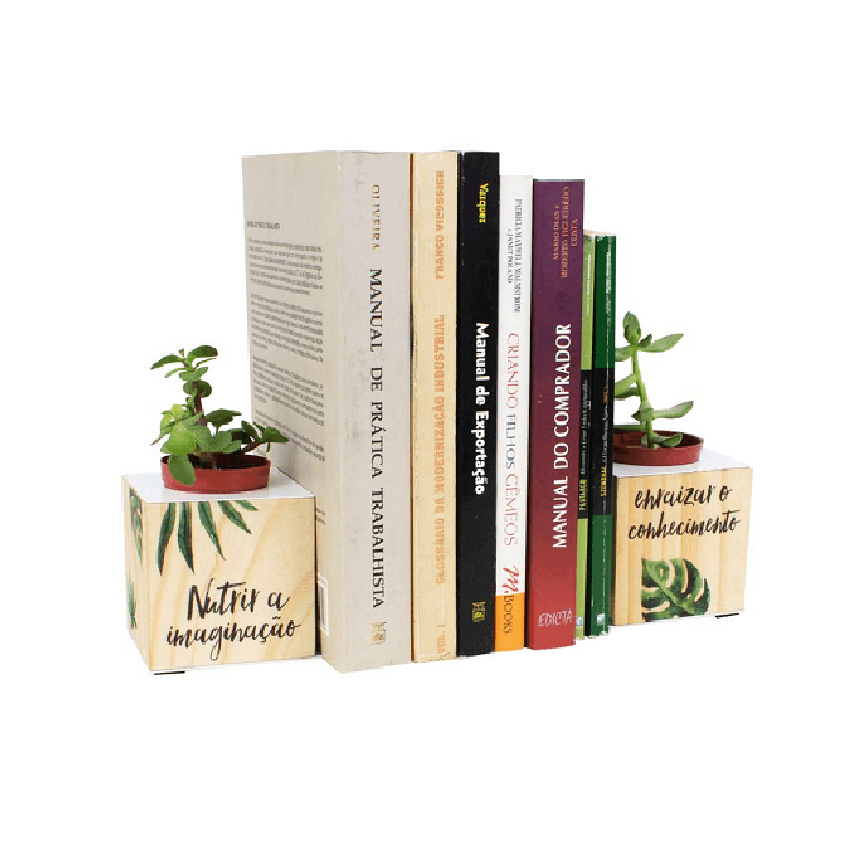 22. Aparador de livros para sala com vaso de plantinhas. Fonte: Pinterest