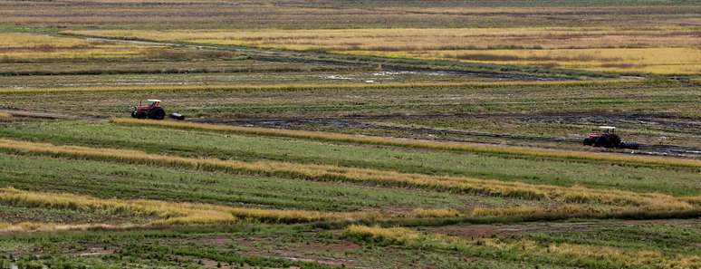 Agricultores trabalham com tratores no plantio de arroz
09/09/2020
REUTERS/Paulo Whitaker