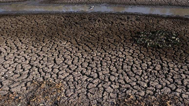 Seca histórica neste ano trouxe diversos prejuízos ao bioma