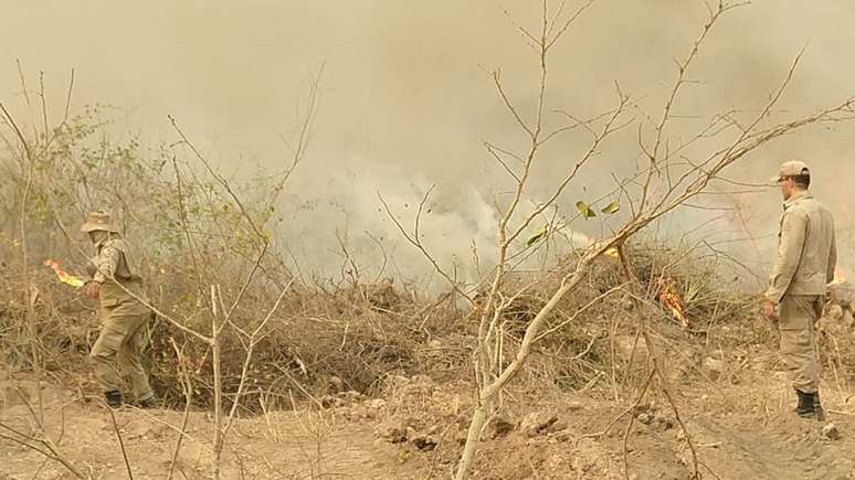 Segundo especialista, queimadas devem diminuir somente após intensas chuvas no bioma