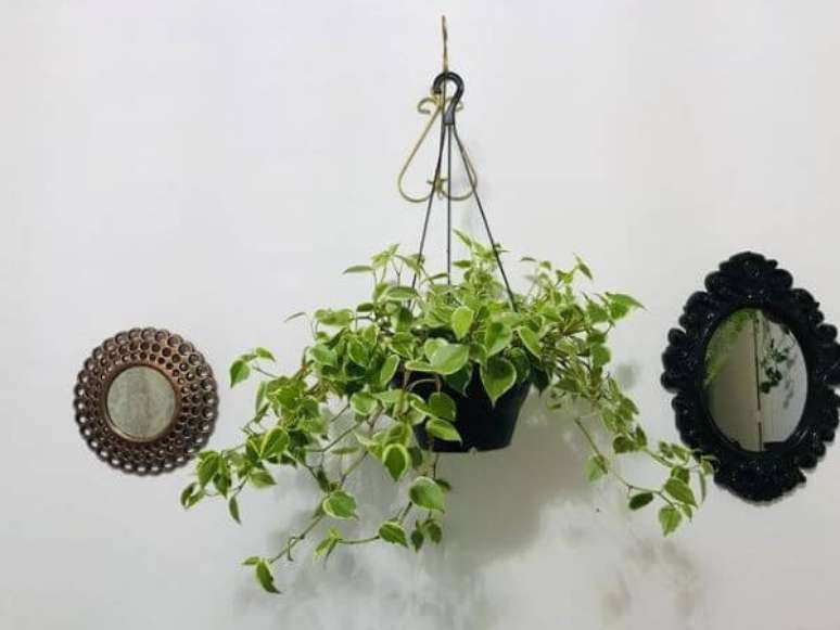 38. Plantas suspensas na decora&ccedil;&atilde;o de casa &ndash; Via: Pinterest