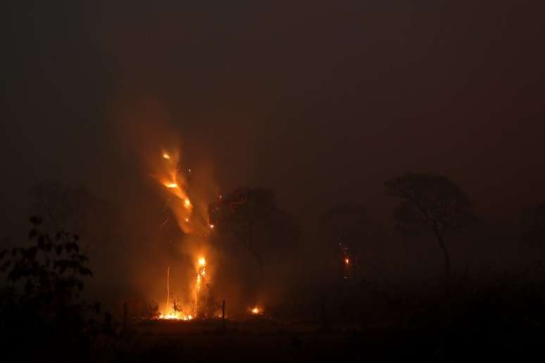 Um incêndio que destruiu 25 mil hectares na região teria sido intencional — o objetivo seria abrir espaço para pastagem