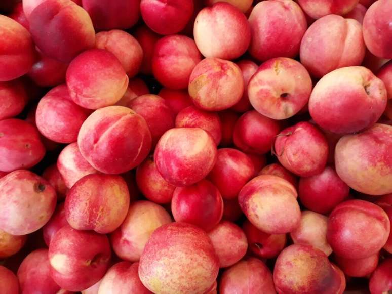 Guia da Cozinha - 5 frutas que ajudam voc&ecirc; a se manter hidratado