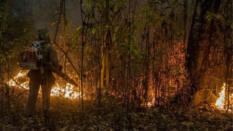 Incêndios no Pantanal atingiram grandes proporções e já consumiram quase 3 milhões de hectares do bioma no Brasil