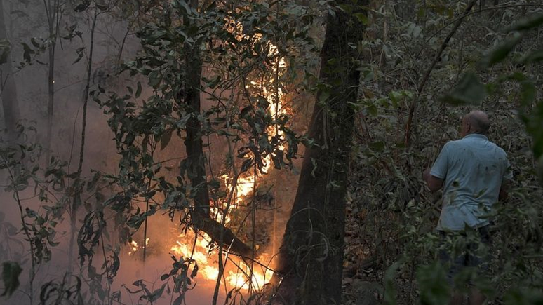 Uso do fogo na agropecuária, associado a seca histórica, levou a situação desoladora no Pantanal