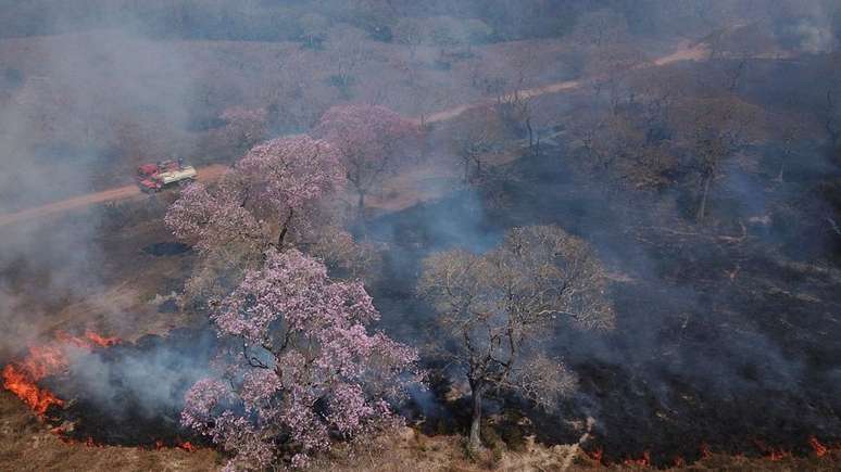 Eventos climáticos extremos, como a pior seca do Pantanal nos últimos 60 anos, estão cada vez mais comuns