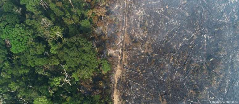 "A proteção ambiental e as reivindicações indígenas e quilombolas se chocam com os interesses privatistas na Amazônia"