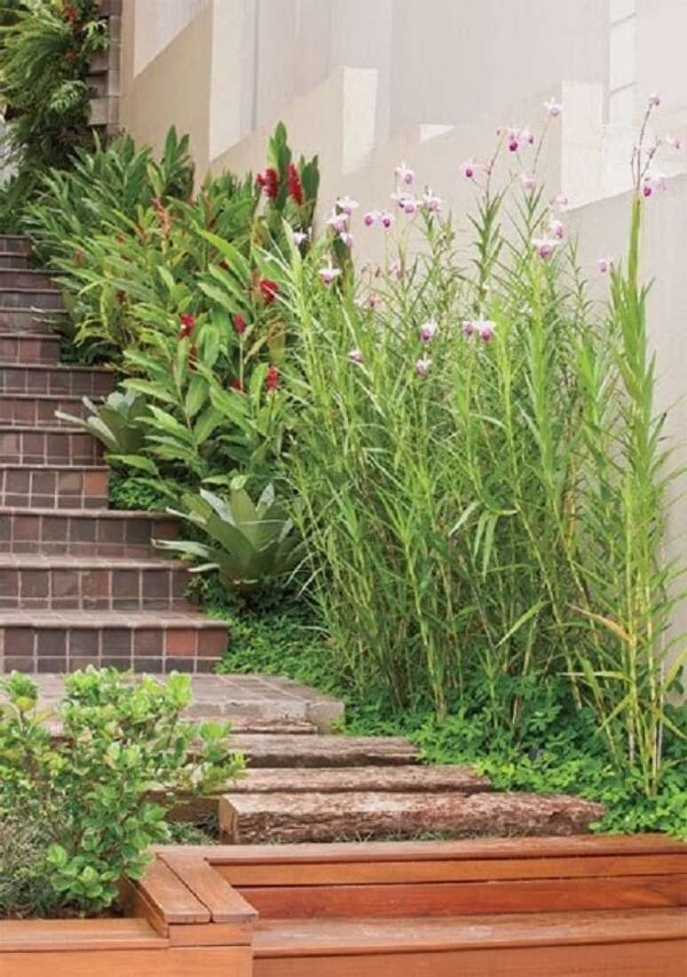 24. A orquídea bambu muro foi plantada na lateral da escada. Fonte: Pinterest