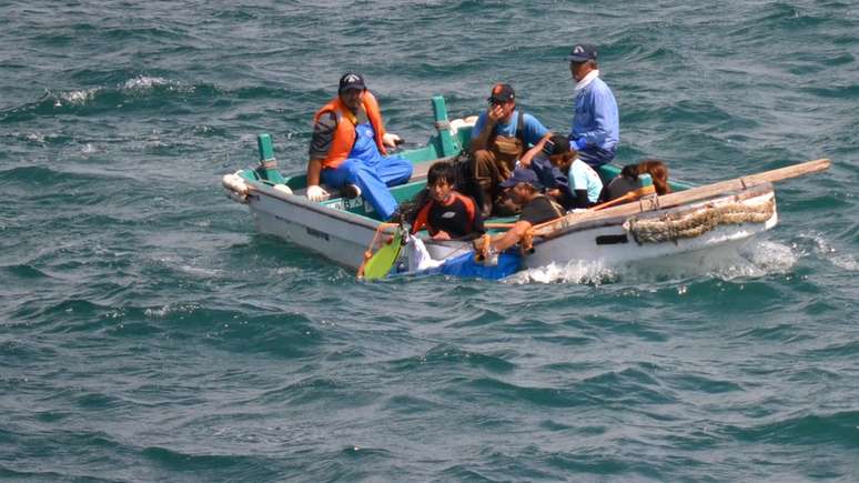 Treinadores de golfinhos levando um animal pela lateral do bote para ser treinado em um tanque, em 2012