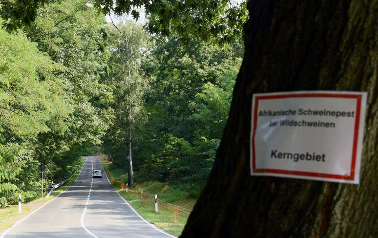 Sinal alerta para área com peste suína africana em Gross Drewitz, Alemanha 
12/09/2020
REUTERS/Annegret Hilse