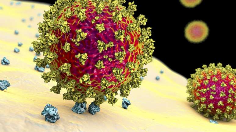 Ilustração de coronavírus atacando célula; para pesquisadora, pandemia colocou ciência e sociedade 'mais próximas do que nunca'