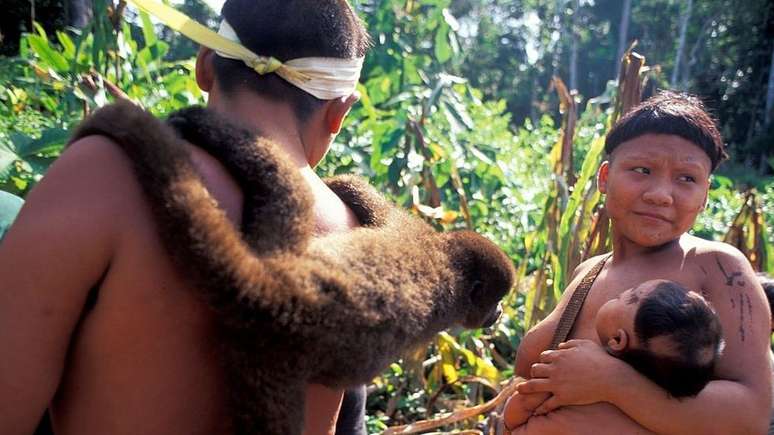 Contato com tribos isoladas tornou-se basicamente proibido no Brasil desde década de 1980
