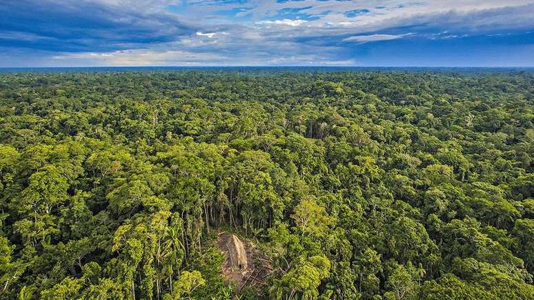 Desmatamento na Amazônia é significativamente menor nas reservas indígenas