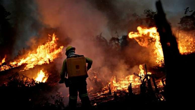 Seca e degradação intensificam os incêndios na Amazônia, diz Carlos Nobre