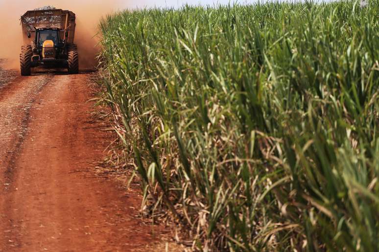 Trator carrega cana-de-açúcar em plantação do Grupo Moreno em Ribeirão Preto, nem São Paulo; 15 de setembro de 2016. REUTERS/Nacho Doce