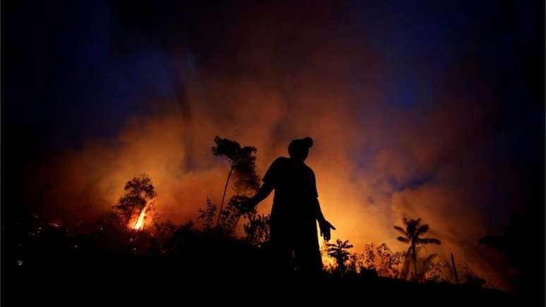 Queimadas no Pantanal bateram recorde histórico neste ano e causaram repercussão mundial